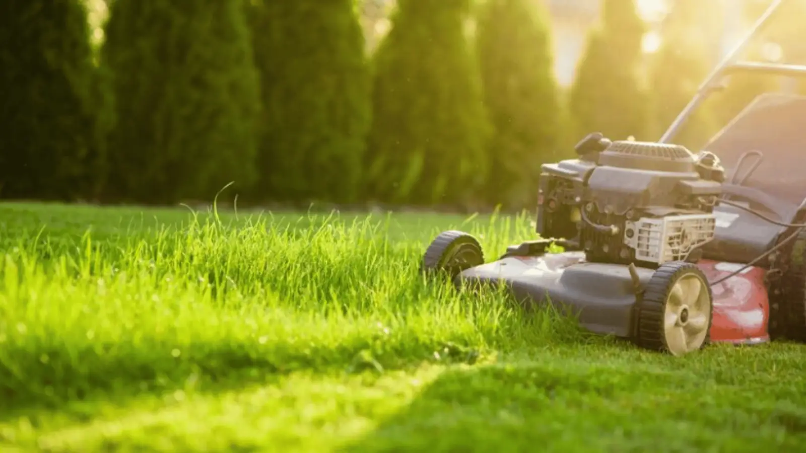 MDA Services — lawn care in Spring Farm